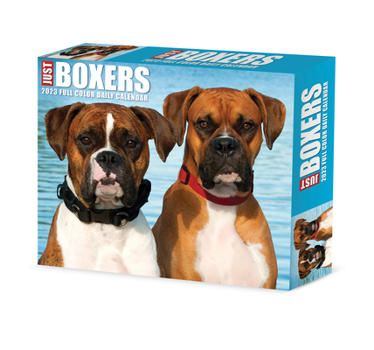 Calendar Boxers 2023 Box Calendar Book