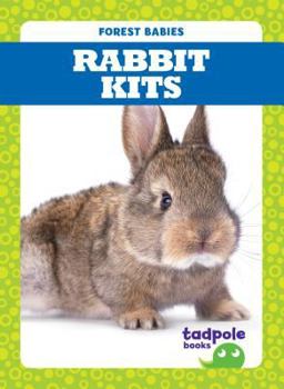 Library Binding Rabbit Kits Book