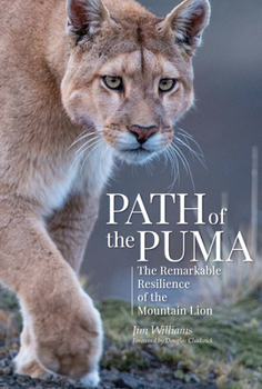 Hardcover Path of the Puma: The Remarkable Resilience of the Mountain Lion Book