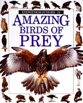Paperback Amazing Birds of Prey Book