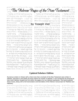 Paperback The Hebrew Pages of the New Testament Book