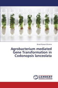 Paperback Agrobacterium Mediated Gene Transformation in Codonopsis Lanceolata Book