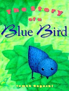 Hardcover The Story of a Blue Bird Book