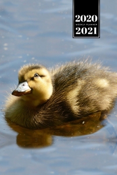 Duck Geese Goose Mallard Duckling Week Planner Weekly Organizer Calendar 2020 / 2021 - Sweet Look: Cute Wildlife Animal Pet Bullet Journal Notebook Diary in 6” x 9” Inch Pocket Size