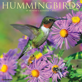 Calendar Hummingbirds 2022 Wall Calendar Book