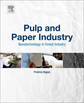 Paperback Pulp and Paper Industry: Nanotechnology in Forest Industry Book