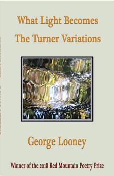 Paperback What Light Becomes: The Turner Variations Book