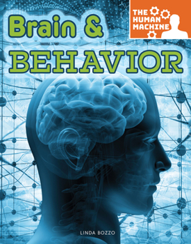 Paperback Brain and Behavior Book