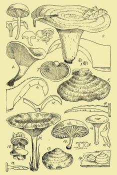 Notebook: Botanical Mushrooms Journal 100 Blank Lined Page Matte Soft Cover Notebook, College Ruled (6 x 9 inch) Blank Lined Mushrooms Design Cover Notebook