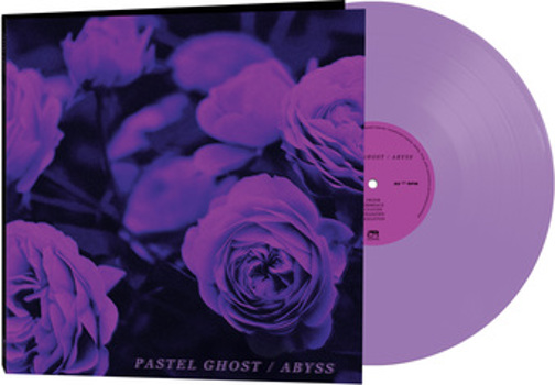 Vinyl Abyss   Purple Book