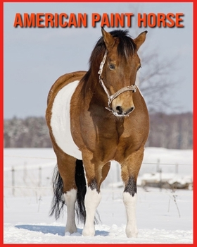 Paperback American Paint Horse: Amazing Facts about American Paint Horse Book