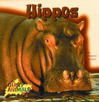 Hippos (Giant Animals)