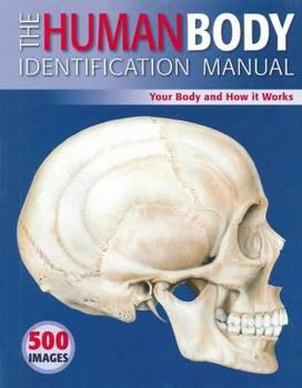 Hardcover The Human Body Identification Manual: Your Body and How It Works Book