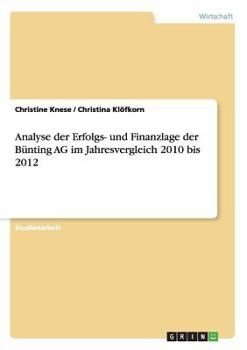 Analyse Der Erfolgs- Und Finanzlage Der Bunting AG Im Jahresvergleich 2010 Bis 2012