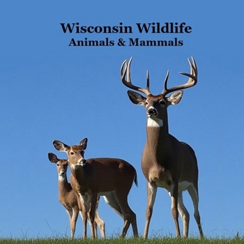 Wisconsin Animals and Mammals Wildlife Book: Great Wisconsin Animals book with Lifelike Images and Fun Facts