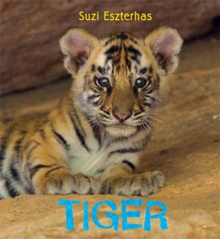 Tiger - Book  of the Eye on the Wild