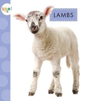Library Binding Lambs Book