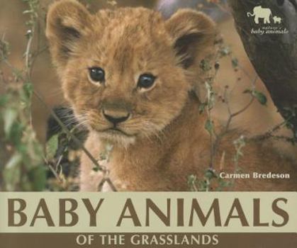 Baby Animals of the Grasslands (Nature's Baby Animals) - Book  of the Nature's Baby Animals