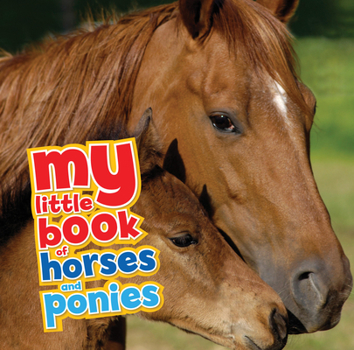 Hardcover My Little Book of Horses and Ponies Book