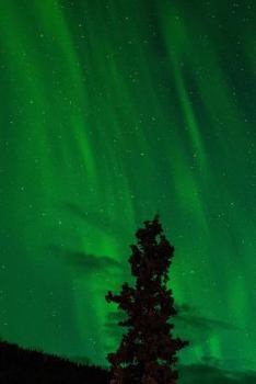 Paperback Green Northern Lights (Aurora Borealis) in Alaska: Blank 150 Page Lined Journal for Your Thoughts, Ideas, and Inspiration Book