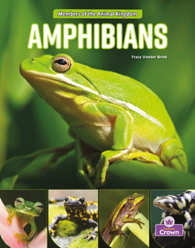 Library Binding Amphibians Book