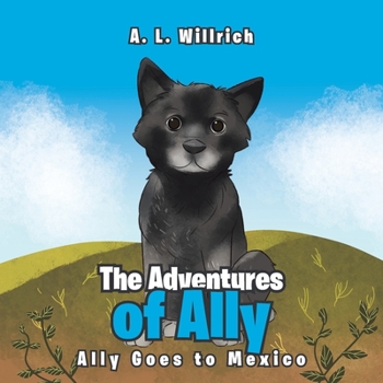 Paperback The Adventures of Ally: Ally Goes to Mexico Book