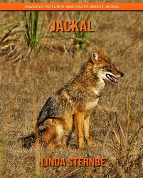 Paperback Jackal: Amazing Pictures and Facts About Jackal Book