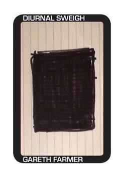 Paperback Diurnal Sweigh: 365 Poems Book