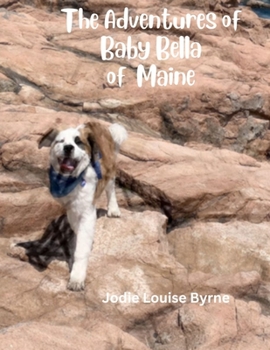 Paperback The Adventures of Baby Bella Ista Sapa Book