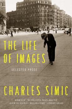 Hardcover The Life of Images: Selected Prose Book