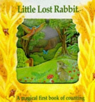 Little Lost Rabbit-A Magic Window Book (A Magic Window Book) - Book  of the Magic Window Books