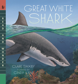 Paperback Great White Shark Book