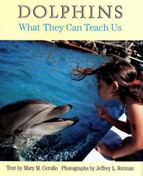 Hardcover Dolphins: What They Can Teach Us Book