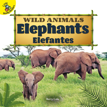 Board book Elephants: Elefantes [Spanish] Book