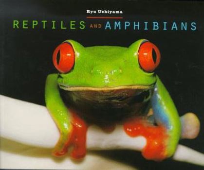 Paperback Reptiles and Amphibians Book