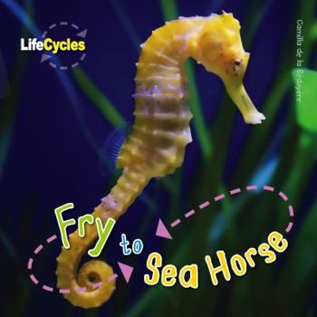 Fry to Seahorse - Book  of the Lifecycles