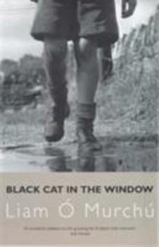 Paperback Black Cat In The Window Book