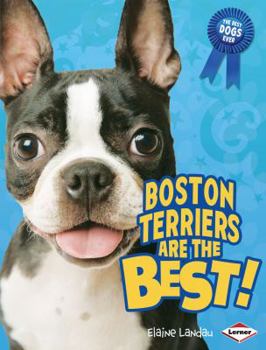 Library Binding Boston Terriers Are the Best! Book