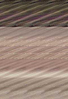 Paperback Temporary Sojourner: South African Stories Book