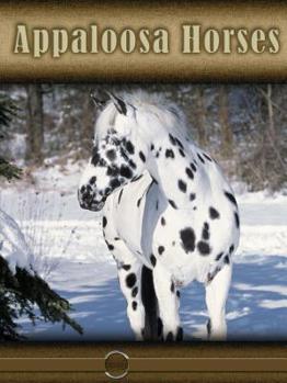 Library Binding Appaloosa Horses Book