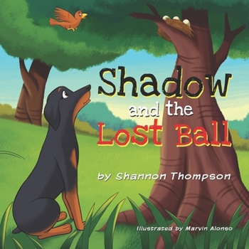 Paperback Shadow and the Lost Ball Book