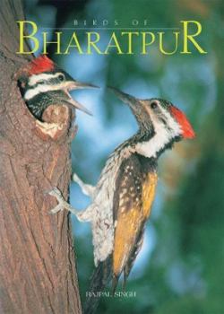 Paperback Birds of Bharatpur Book