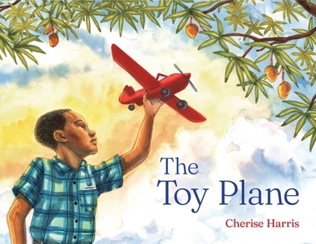 Hardcover The Toy Plane Book