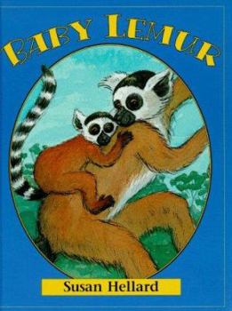 Hardcover Baby Lemur Book
