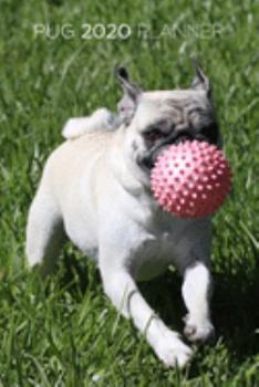 Pug Planner: 2020 diary: Increase productivity, improve time management, reach your goals: Playing pug: Modern artistic photography style cover design