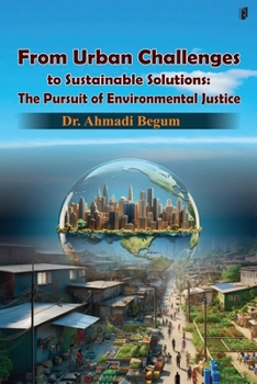 Paperback From Urban Challenges to Sustainable Solutions Book