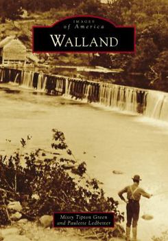 Paperback Walland Book