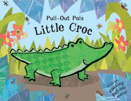 Board book Little Croc Book