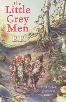 Paperback The Little Grey Men Book
