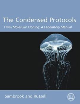 Paperback The Condensed Protocols: From Molecular Cloning: A Laboratory Manual Book